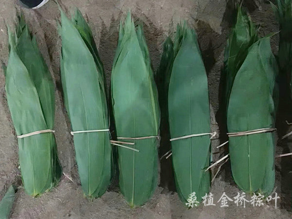 60-100g規(guī)格粽子